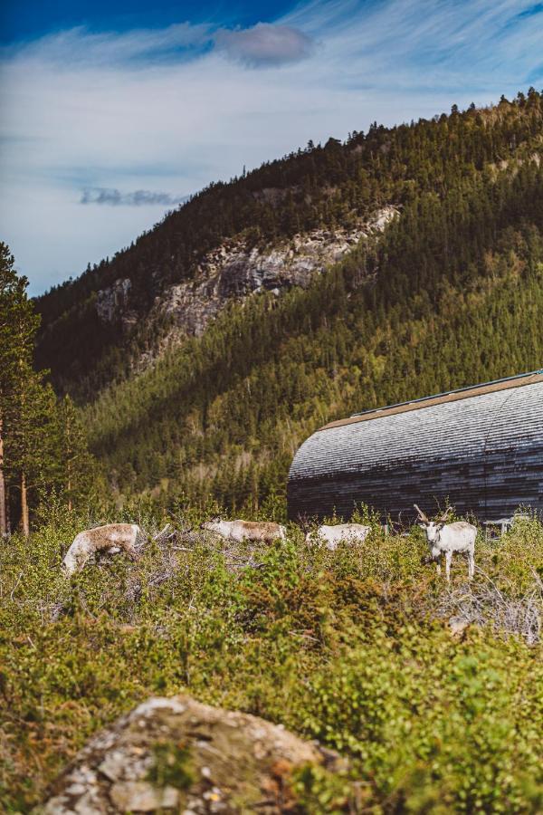 Вилла Saltdal Turistsenter Storjord Экстерьер фото